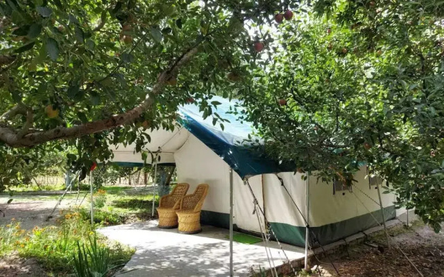 Apple Orchard Farm and Camping