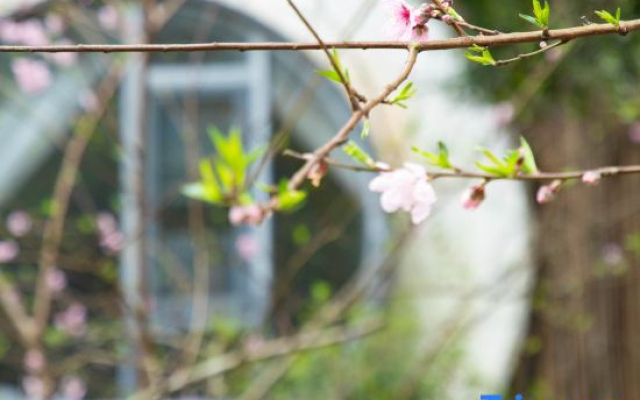 Guangzhou Shijian Xiangjing Qixidi Homestay
