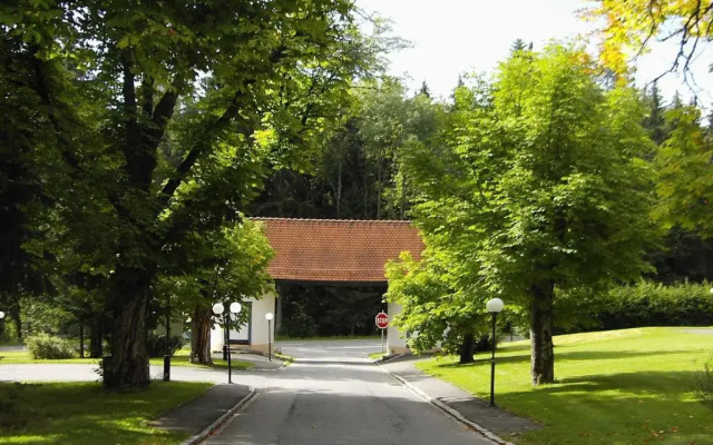Schwarzwald Parkhotel