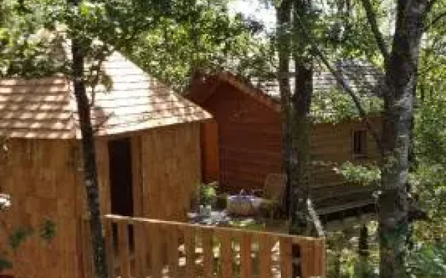Les Cabanes Silvae