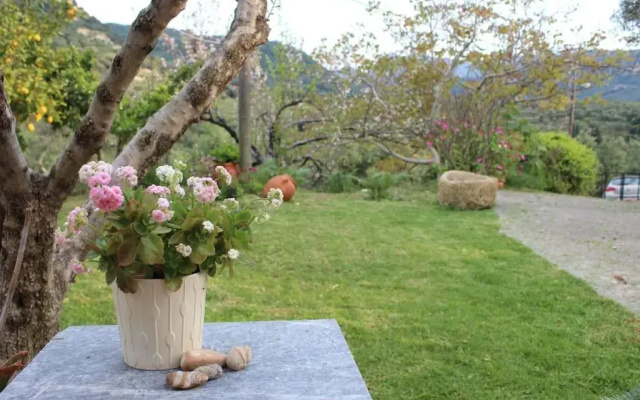 Vivian's House for relaxing holidays in Nature