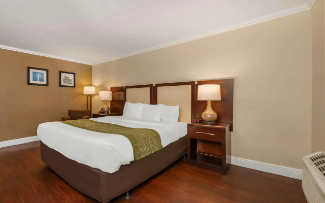 Comfort Inn Oceanside Deerfield Beach