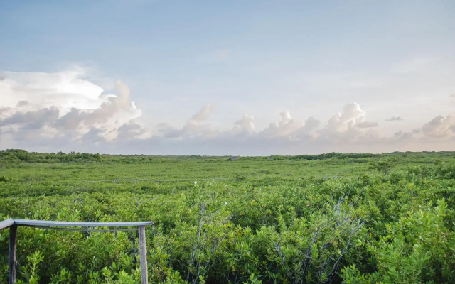 Nativus Glamping & Cenote Tulum