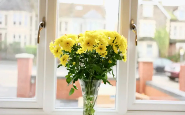 Fishponds Place 355a
