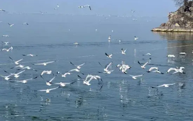 Early Spring Hotels in Dali City