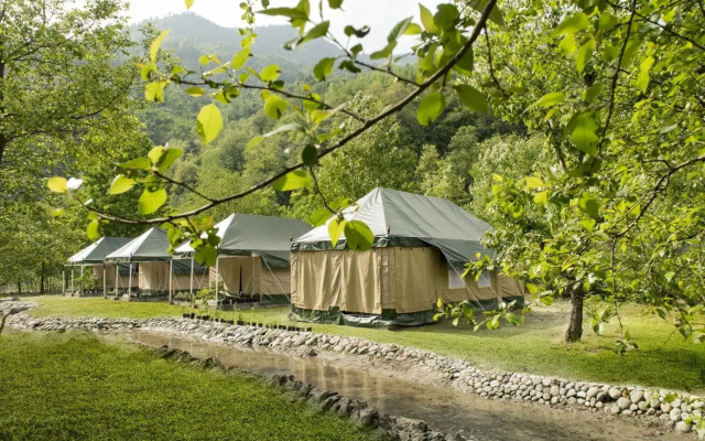 Tall Trees Resort