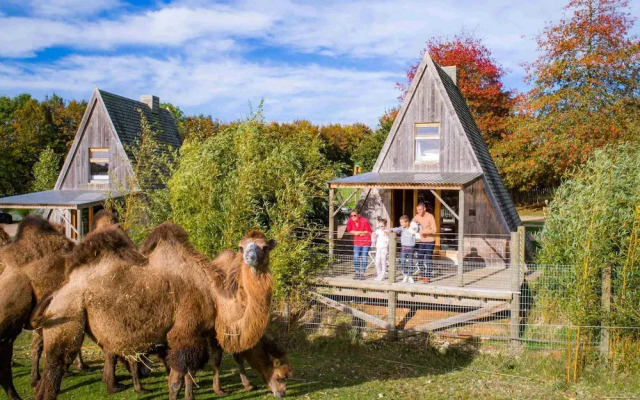 Cerza Safari Lodges