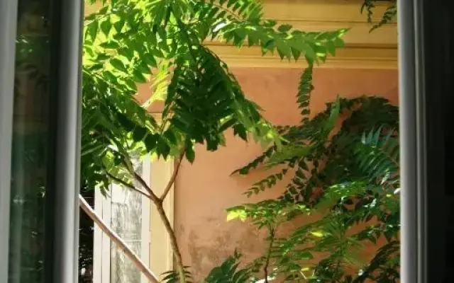 Casa Mia a Trastevere