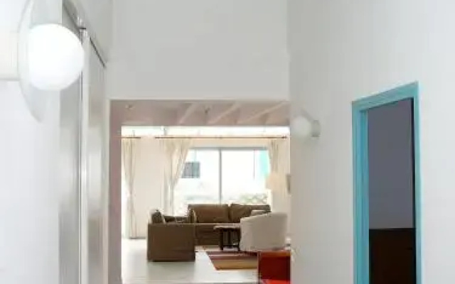 Loft Carcassonne