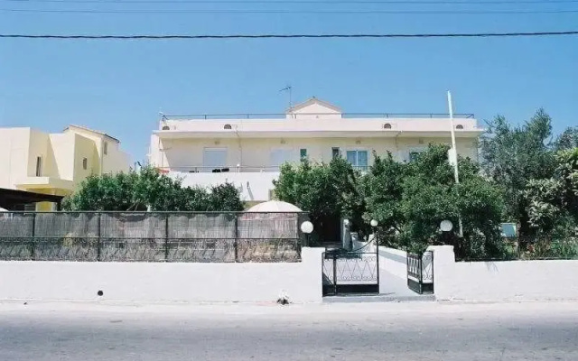 Lemon Trees