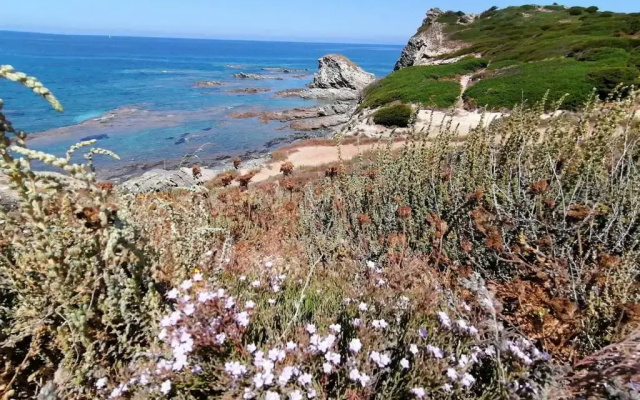 Le Palme Holidays