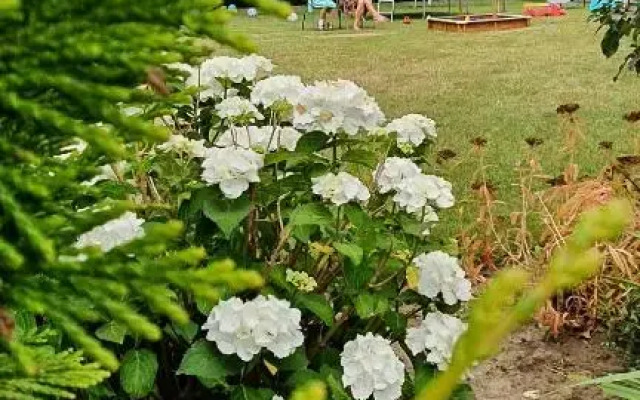 Apartamenty na Bałtyckiej