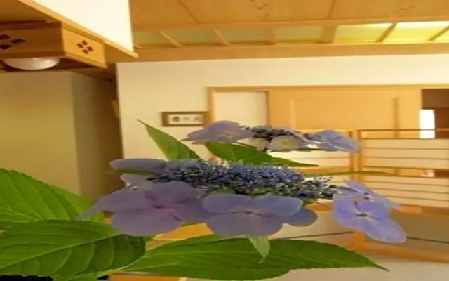 Ichigekan / Vacation STAY 8474