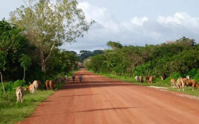 Le Kibalaou