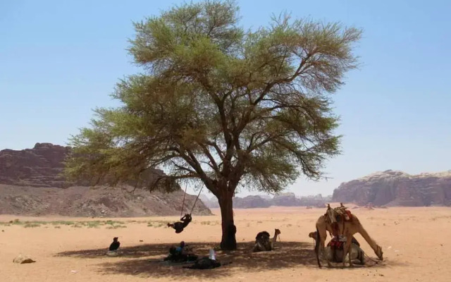 Climbers' House in Wadi Rum
