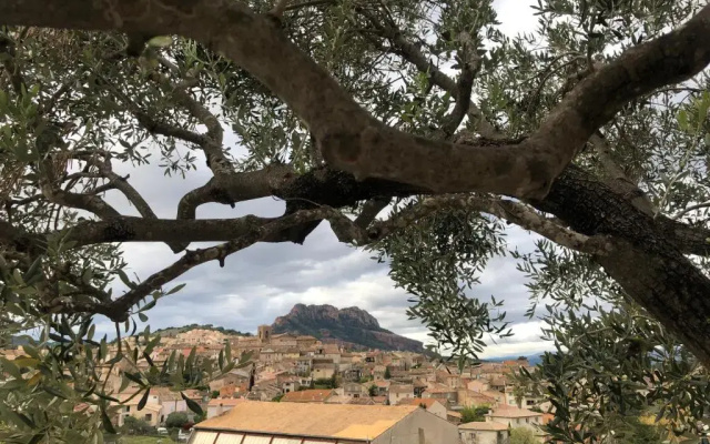 studio EL PARAISO Roquebrune sur Argens