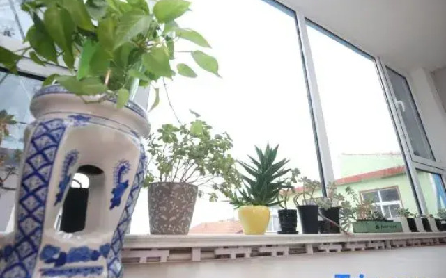 Laoshan District Yihai Beili Accommodation Service Center