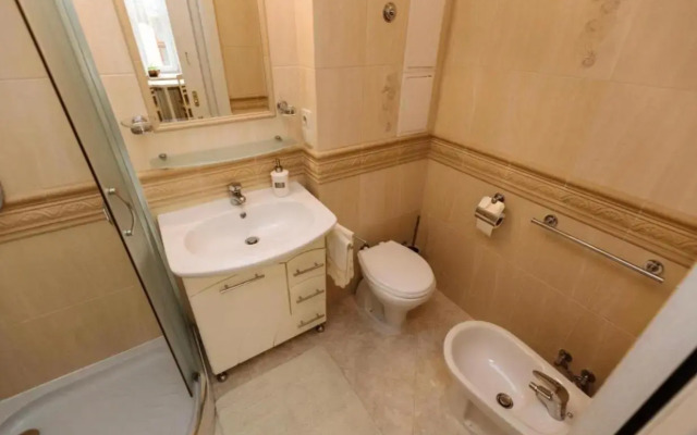 Central Lviv House