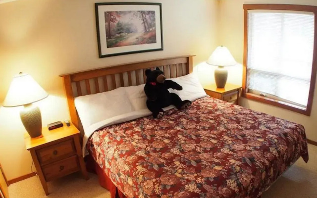 Fireside Lodge #315 By Bear Country