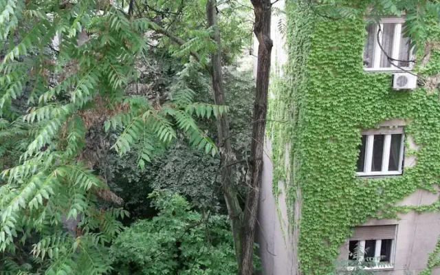 Retro Flat