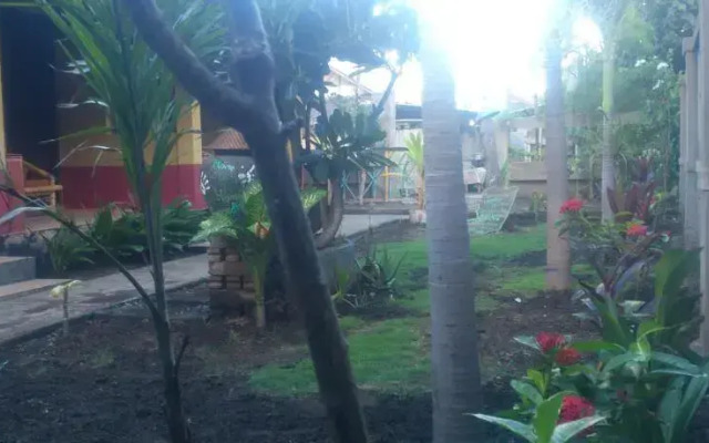 Pondok Gili Gecko