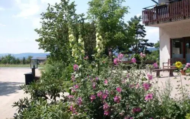 Hotel Wildenburger Hof