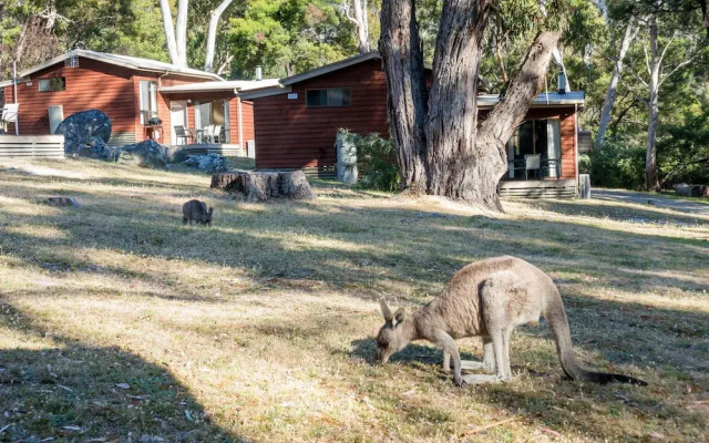 Wonderland Cottages