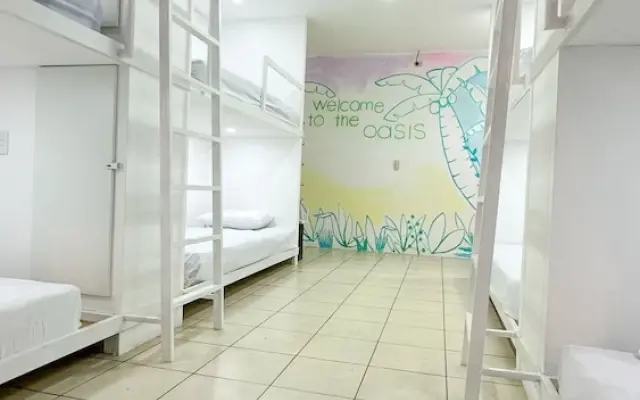 SJO Oasis Hostel