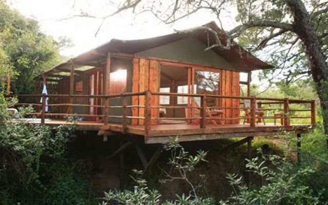 Отель Addo Elephant Back Safaris and Lodge вид на фасад