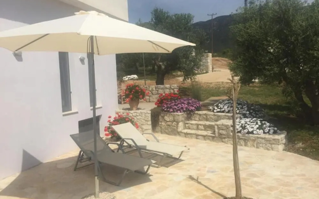 The Olive Grove Tsapi
