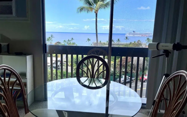 Kona Mansions Ocean Views & Amenities!