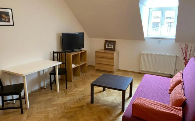 Beautiful Apartment Near Florenc Area of Prague