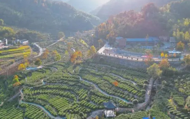 Zhuxi Tea Garden · Homestay