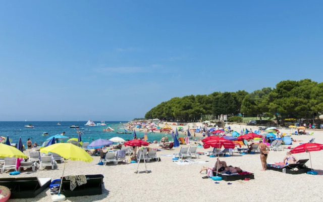 House Goga