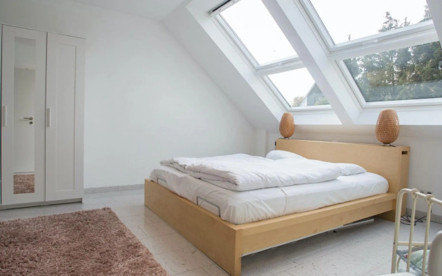Spacious apartment with sauna and two balconies in Winterberg