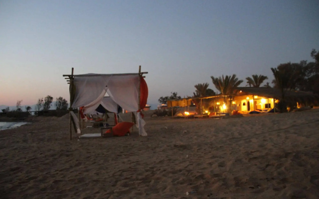 Ayla Camp