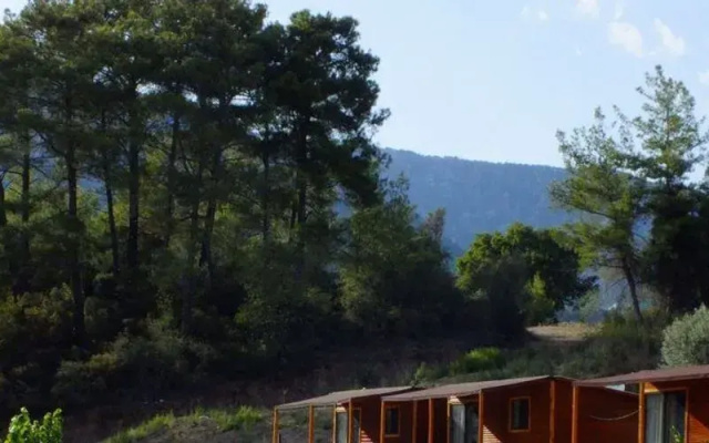 Olimpos Altun Pansiyon