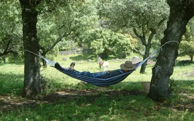 Finca al-manzil