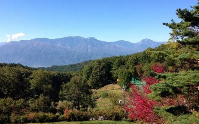 Sakura Resort