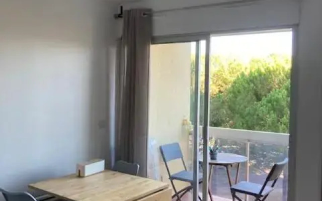 Charmant studio refait à neuf CARNON port 34