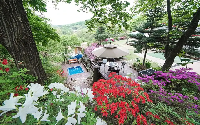 Yeoju Mineral Spring Pension