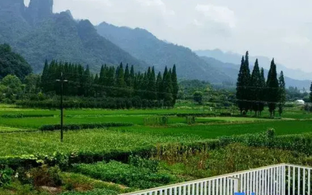 Mountain Field  Flower Hous
