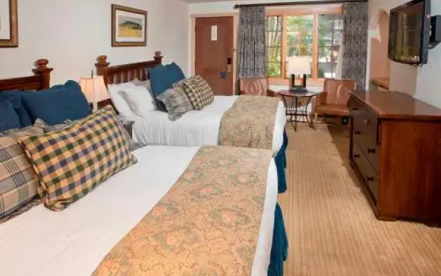 Lodge at Vail Dog Friendly C139