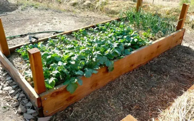 Mariposa Farmhouse