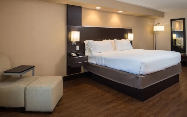 Holiday Inn Express & Suites San Antonio Medical-Six Flags by IHG