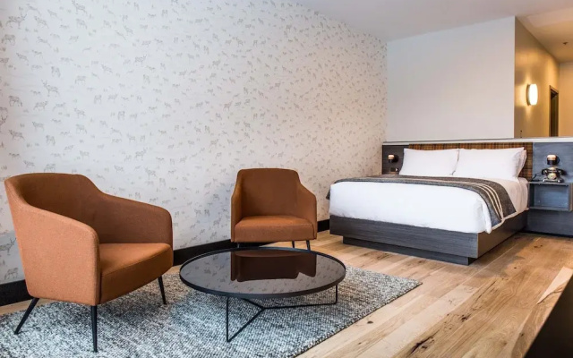 Hew & Draw Hotel
