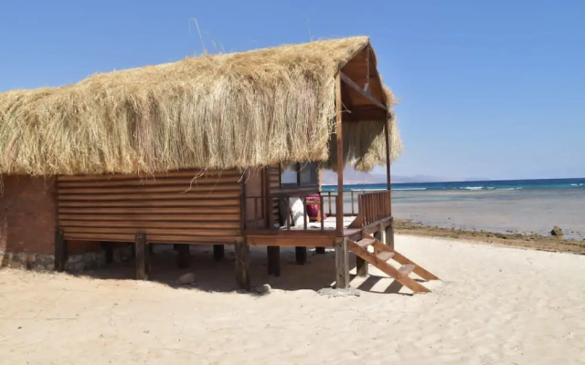 Shanty camp