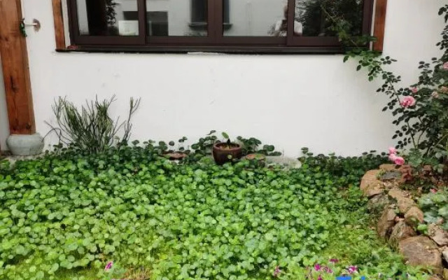 Shanshui Yake Guesthouse
