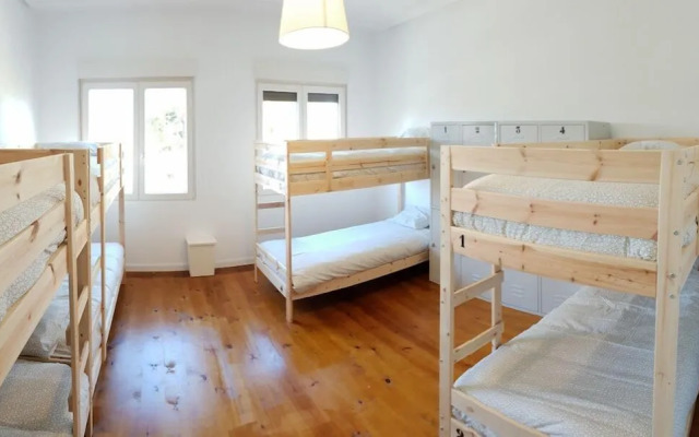 Totora Surf School & House - Hostel