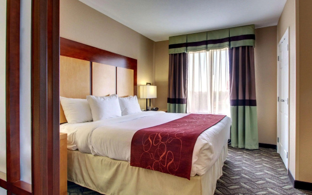 Comfort Suites Flowood - Jackson Airport (must meet transportation requirement)